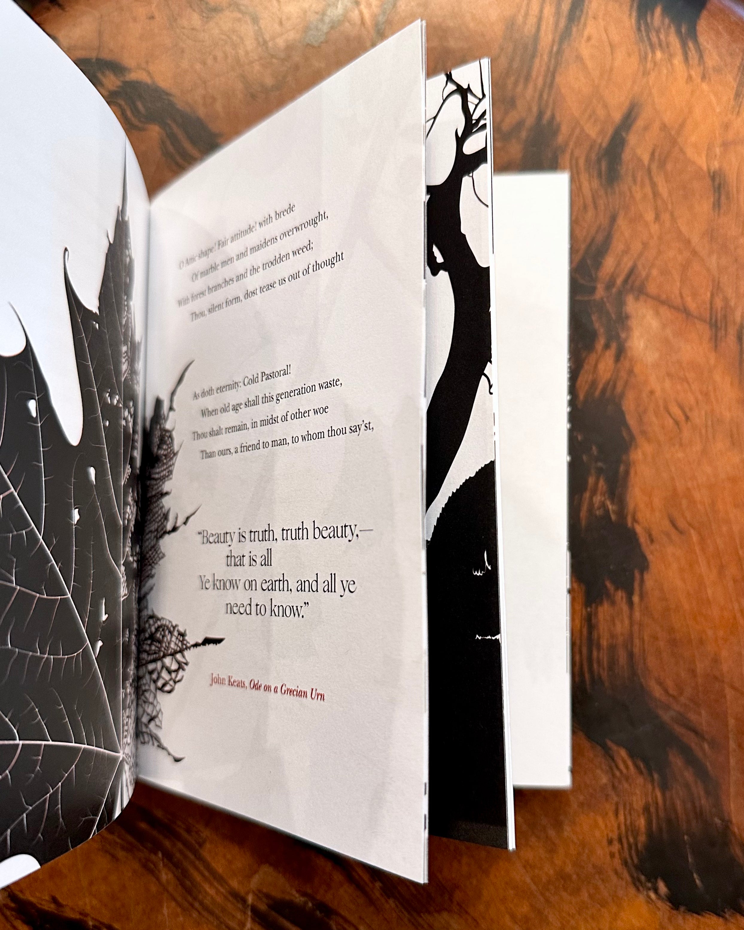 On Nature: Collected Works