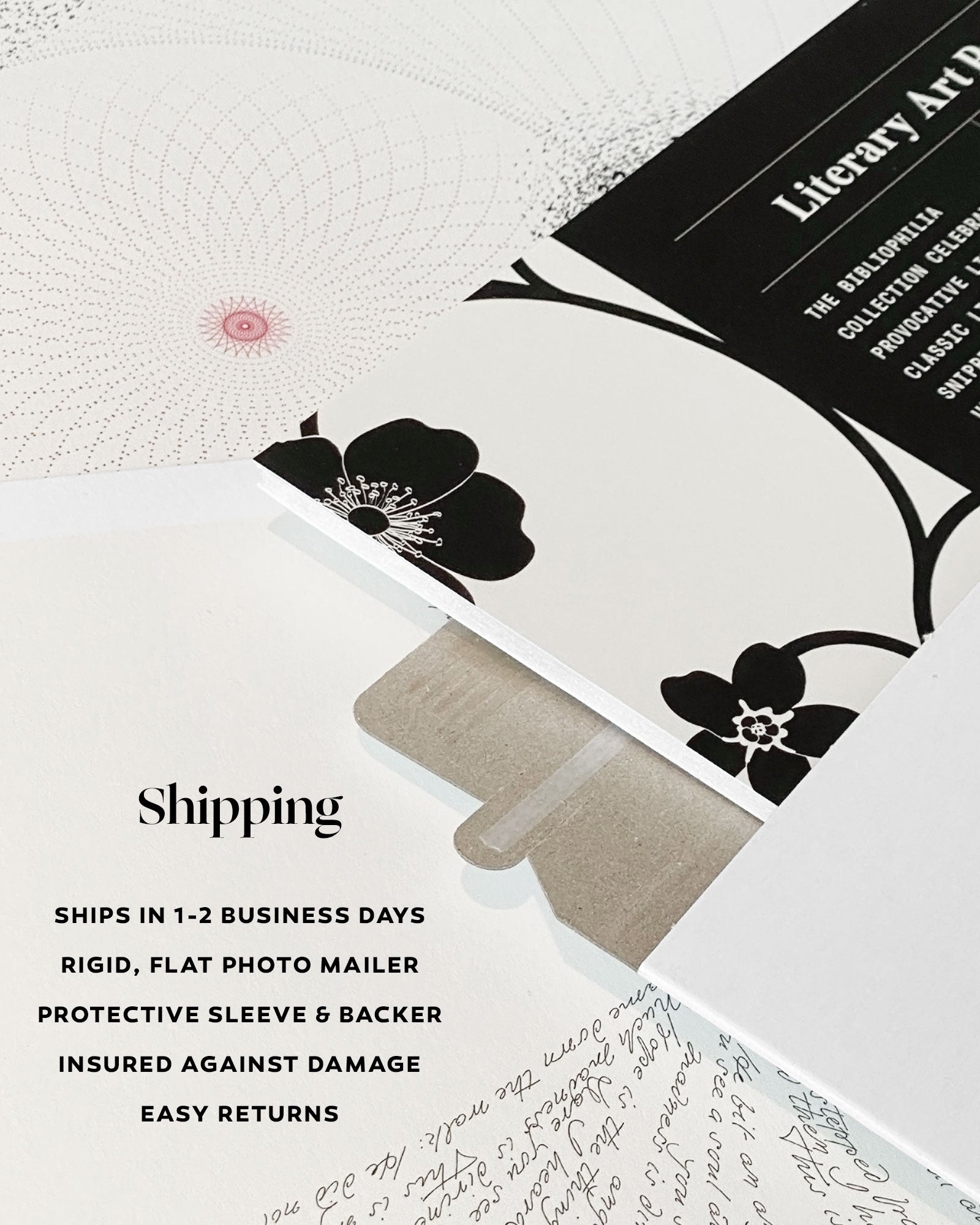 All the Beauty of Life