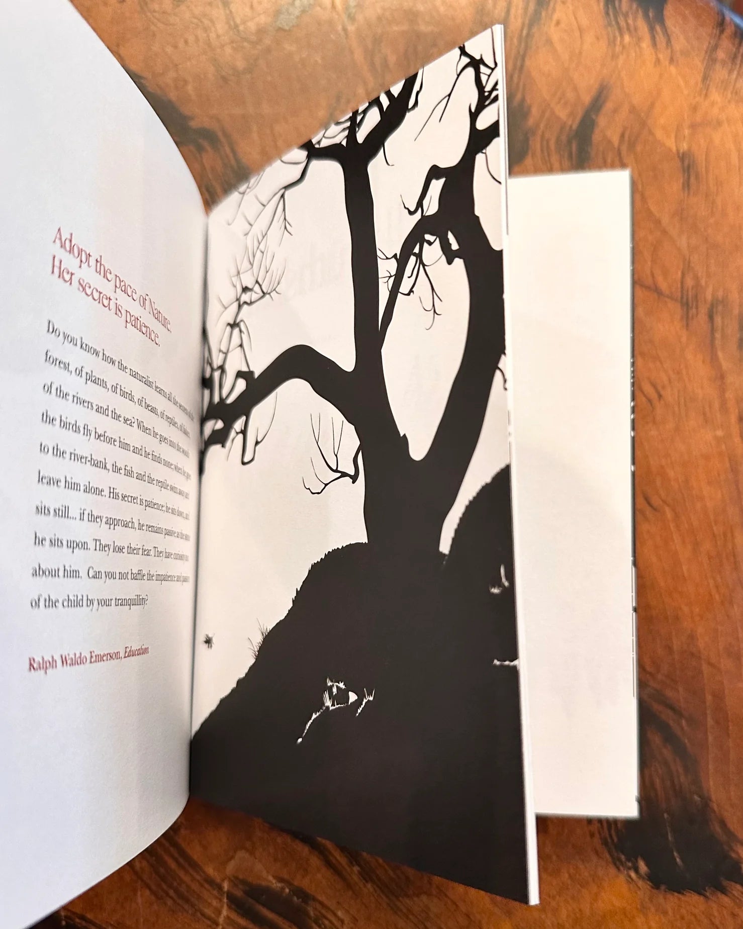 Collected Works Book Bundle