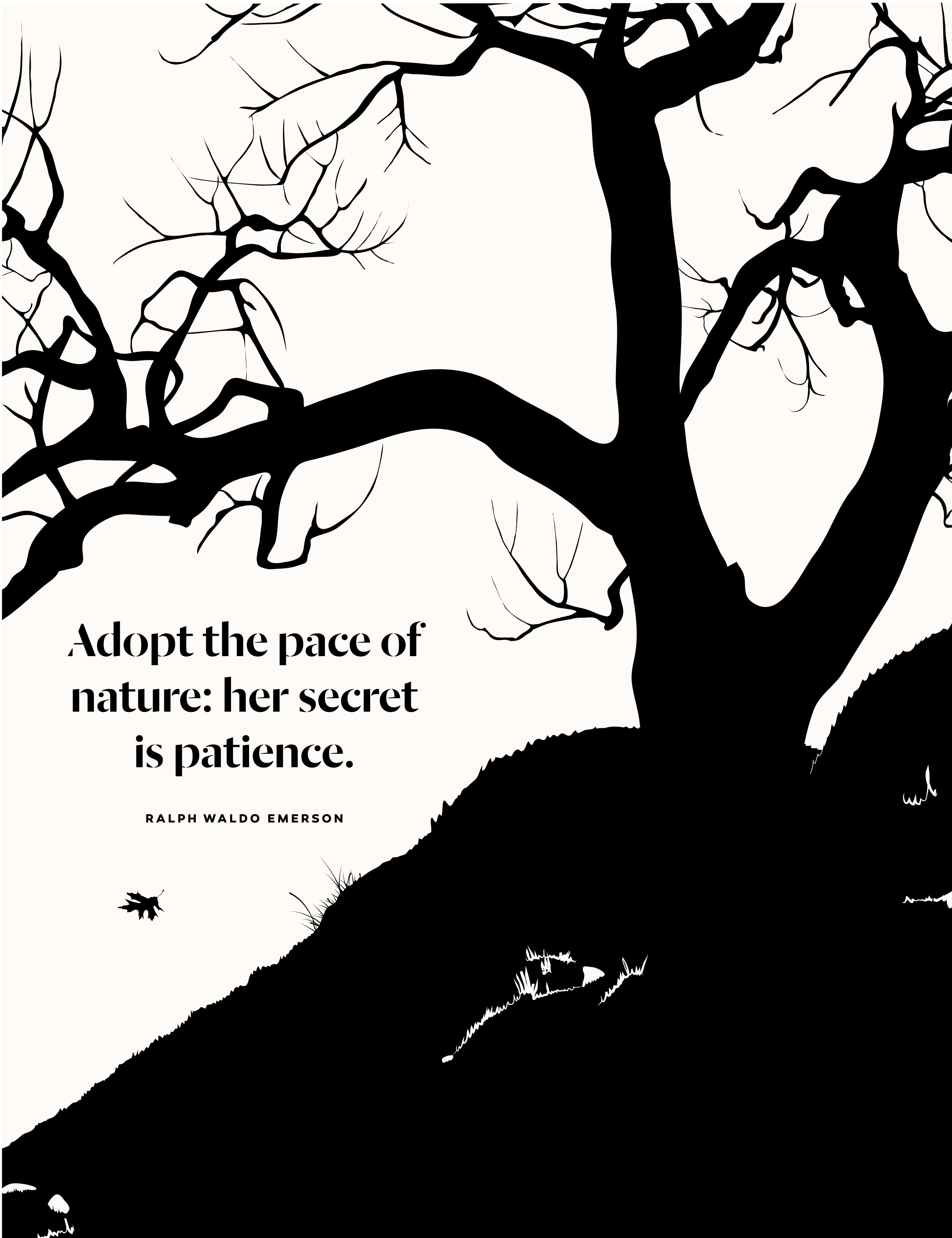 Ralph Waldo Emerson Print