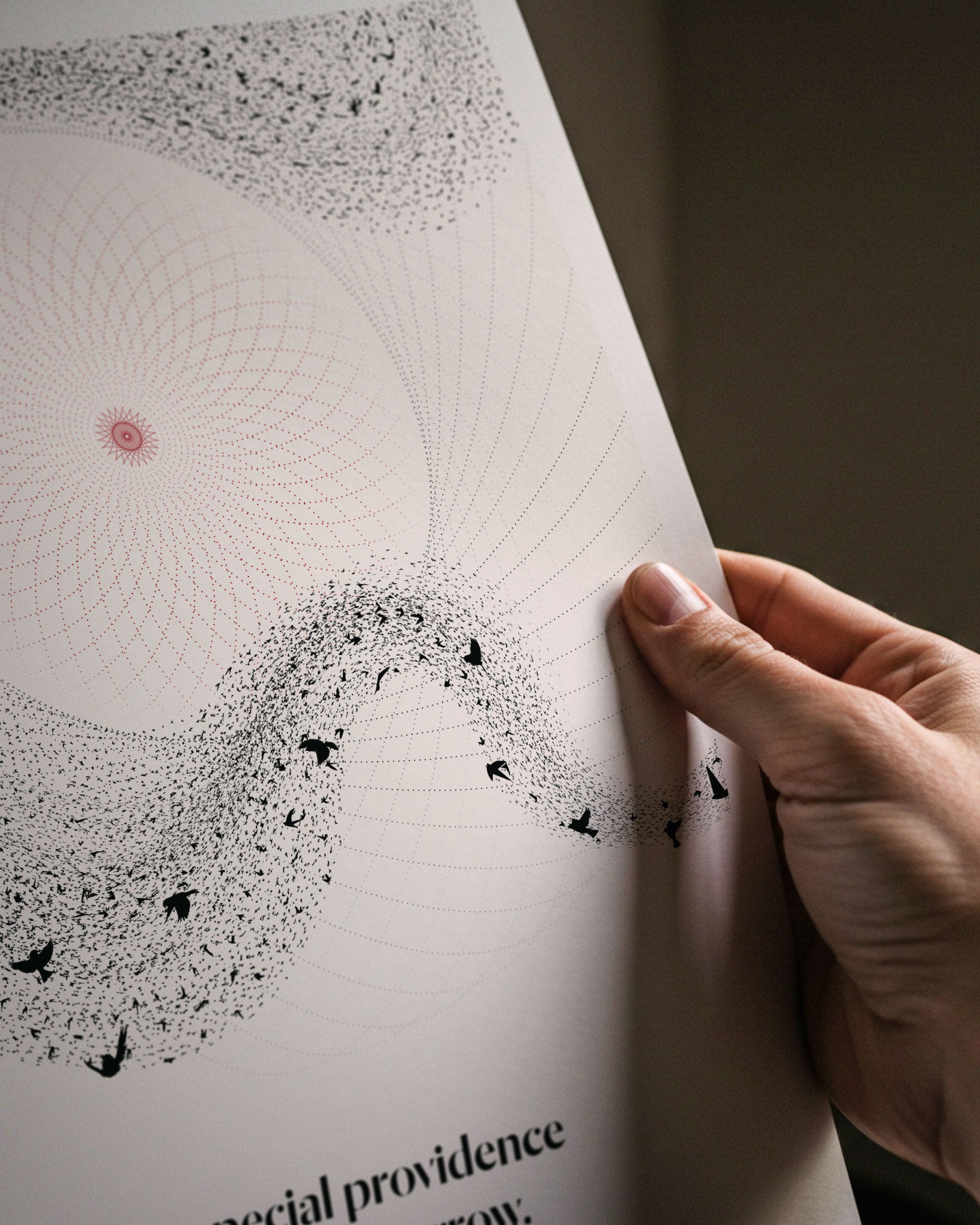 The Fall of a Sparrow