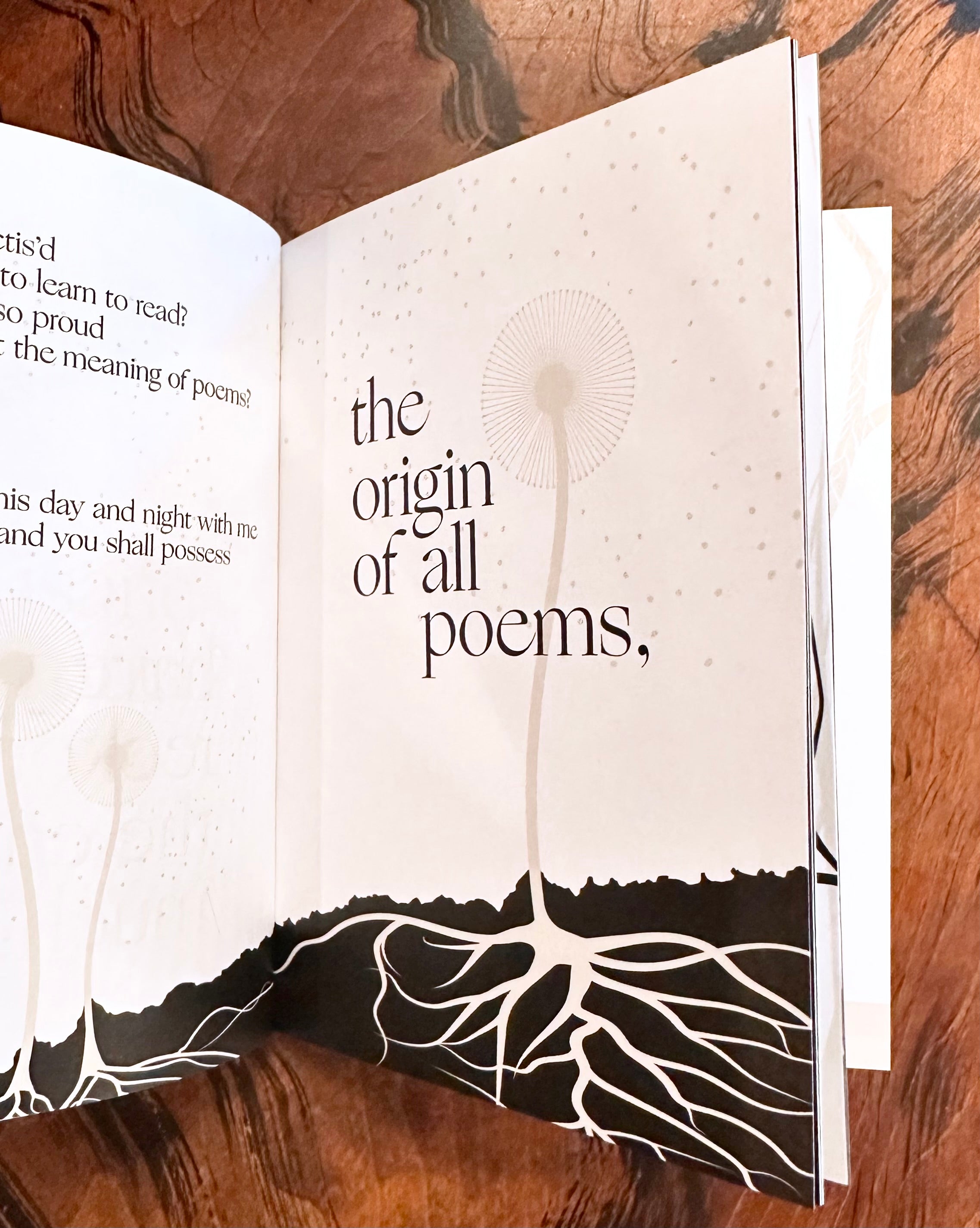 Song of Myself, Walt Whitman