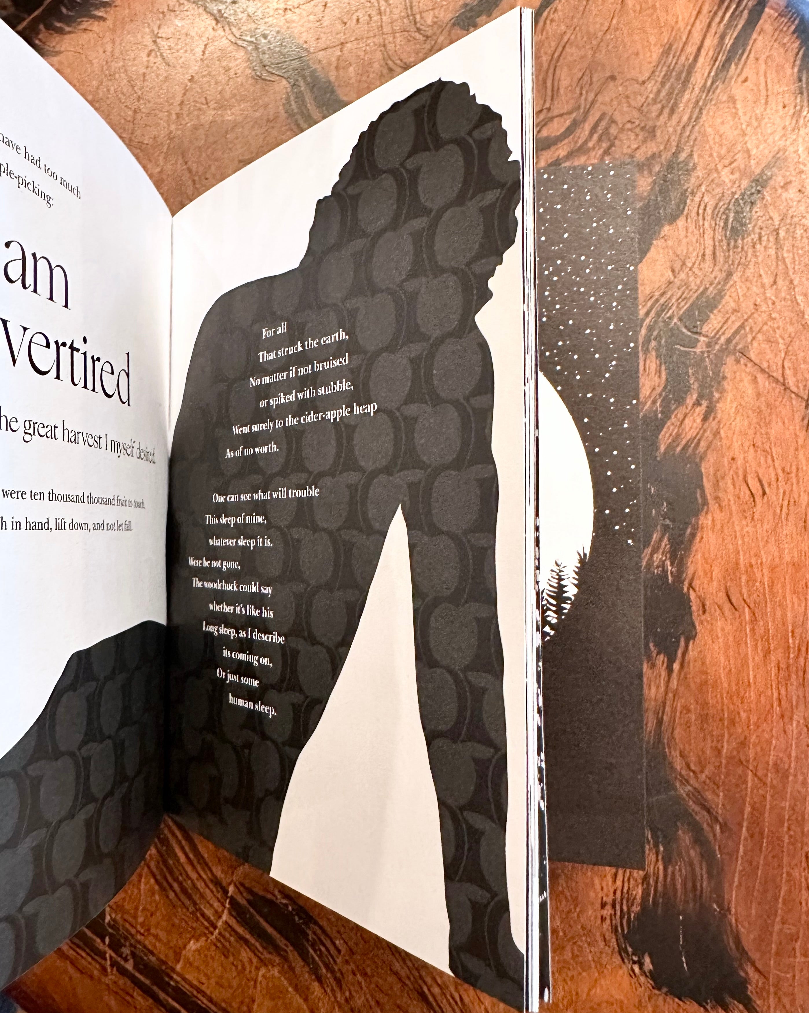 Miles to Go, Robert Frost