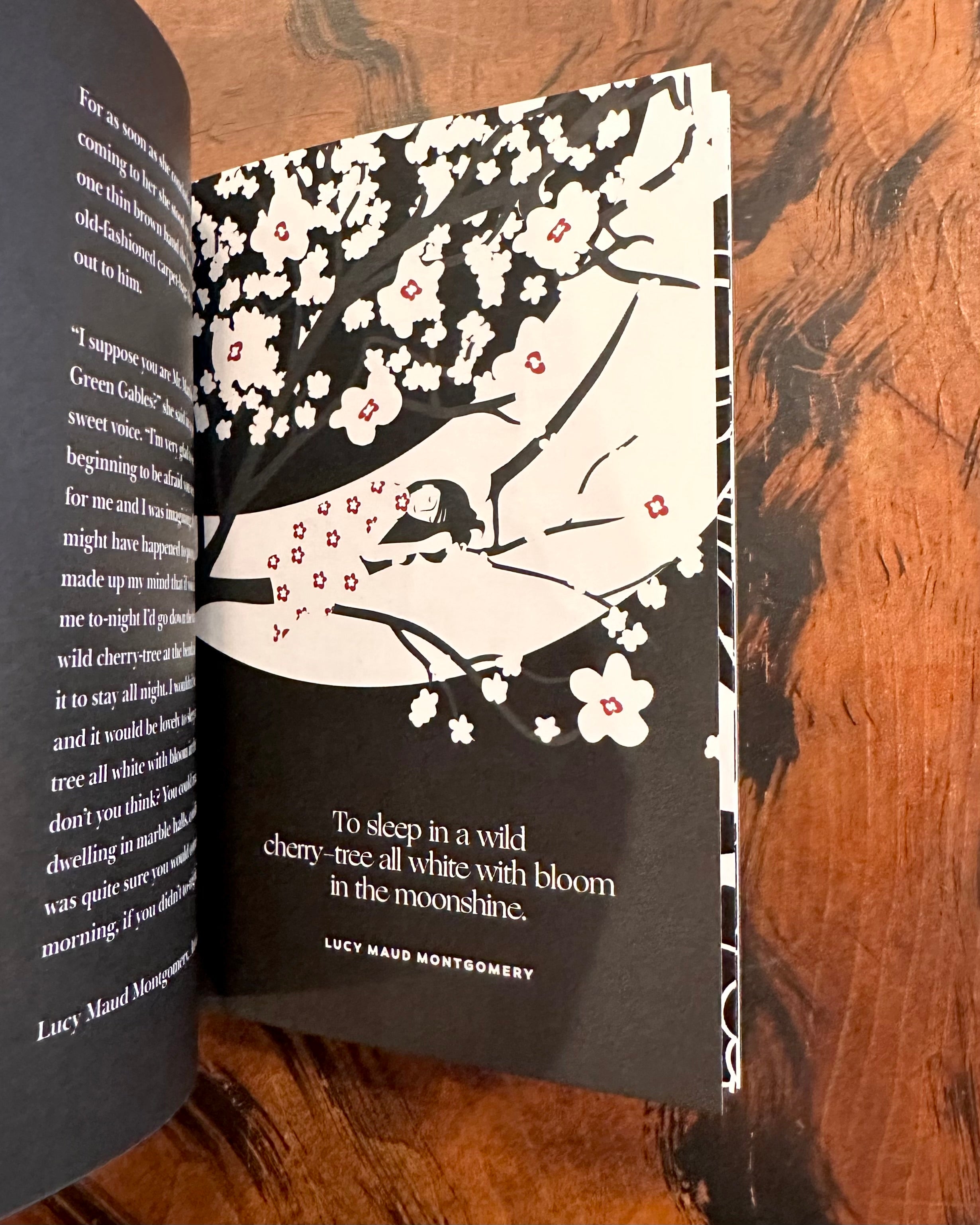 Women Writers, Collected Works