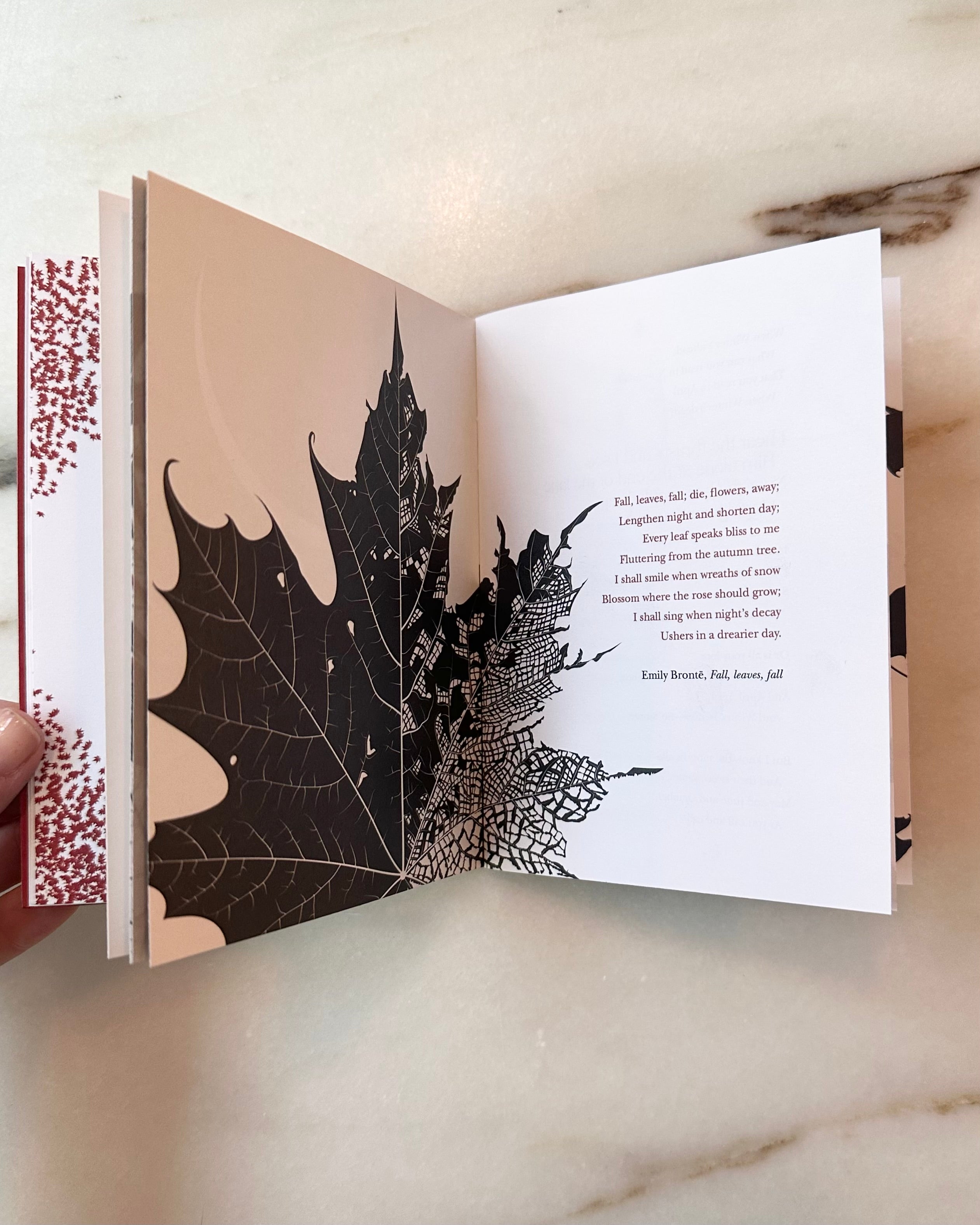 Limited Edition: On Autumn Chapbook