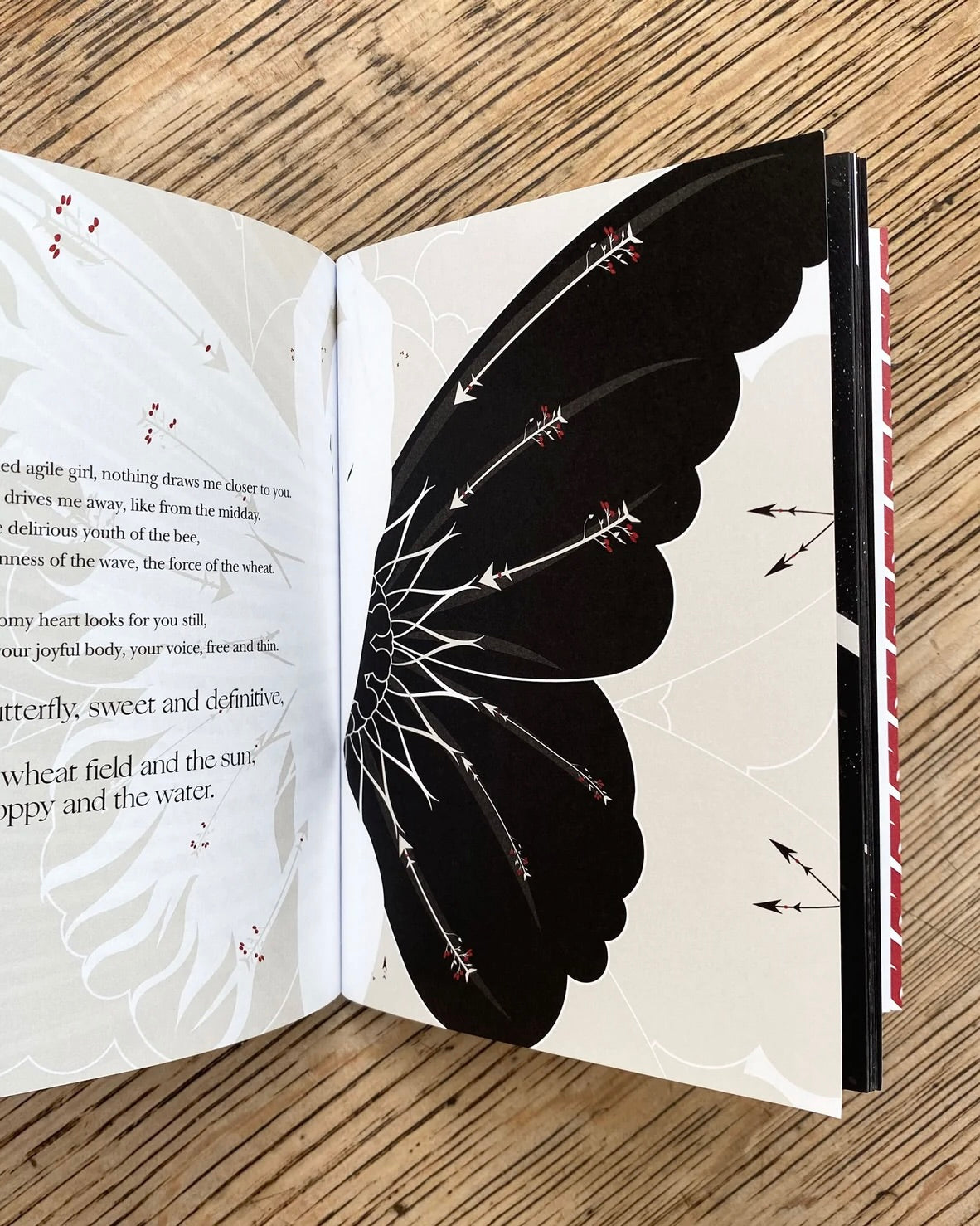 Twenty Love Poems and a Song of Despair, Pablo Neruda