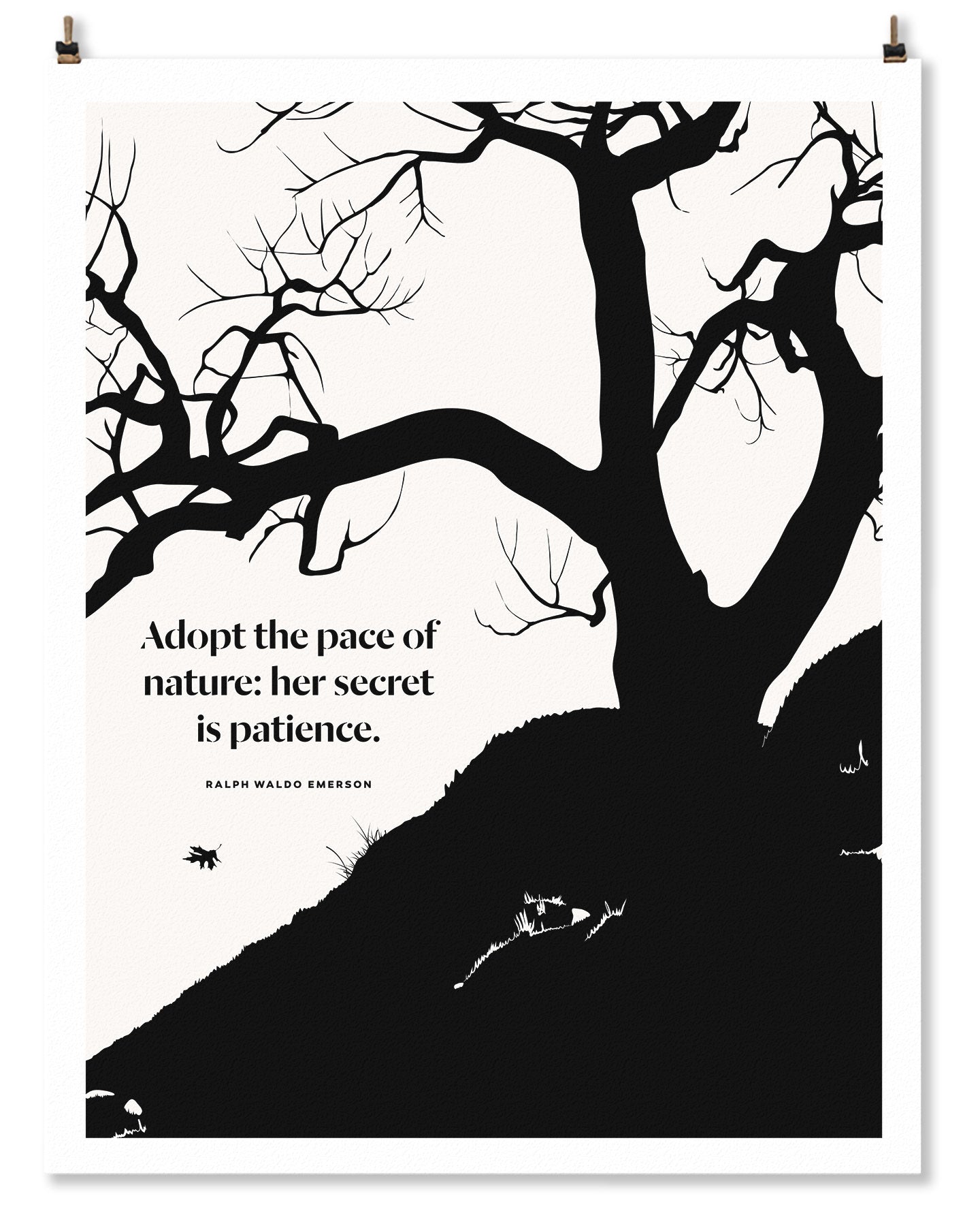 Adopt the Pace of Nature